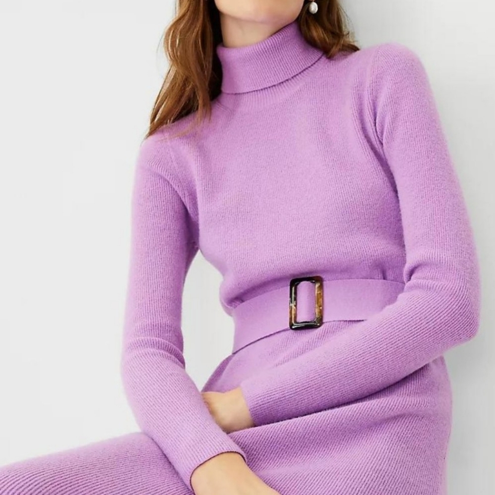 NWT Ann Taylor Belted Turtleneck Sweater Dress - Picture 3 of 5